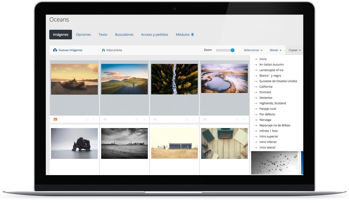 Pantallazo de muestra de como copiar fotos entre galería con nuestro sistema.