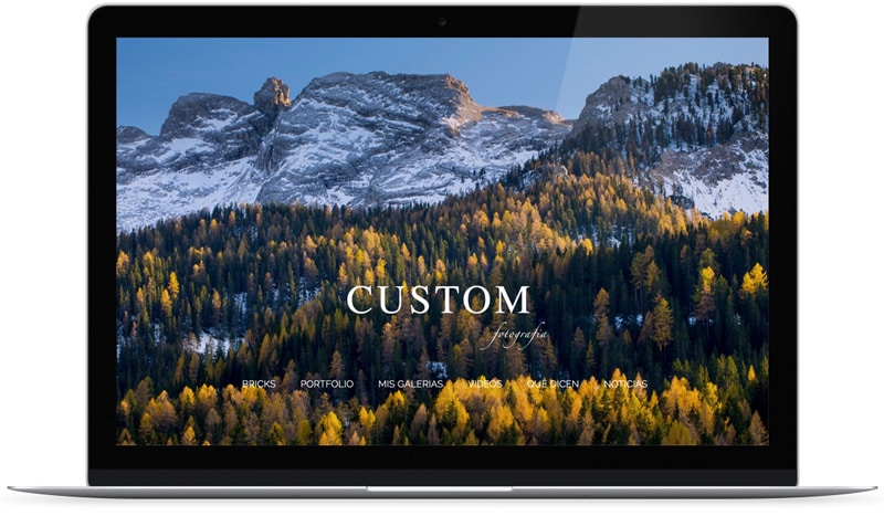 Mockup con ejemplo de portada de web.