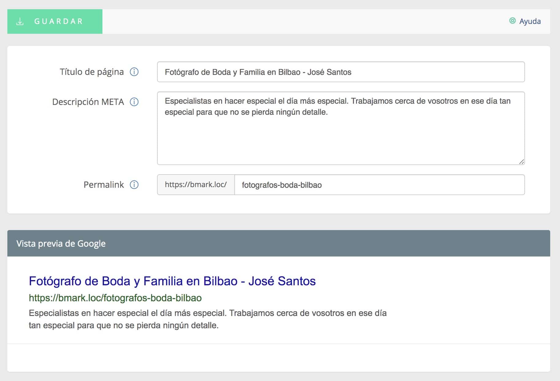 Vista previa de titulo y etiqueta META para Google en el panel de control de Bluekea