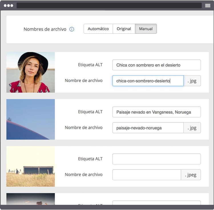 Zona para personalizar nombres de archivos y etiquetas Alt en Bluekea.com